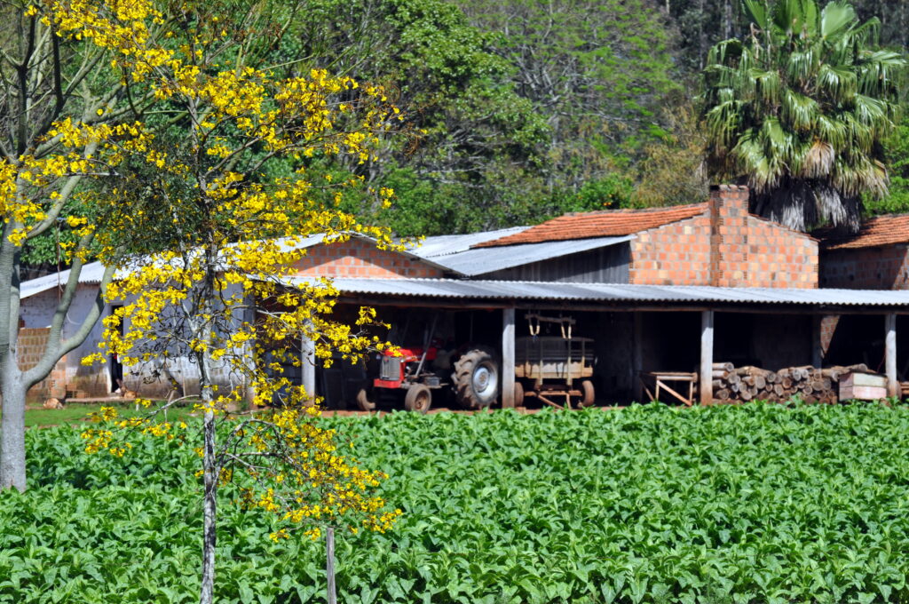 Plano Safra avança, mas acesso ao crédito depende renegociação e seguro rural, avalia presidente da Frente Parlamentar da Agropecuária Gaúcha