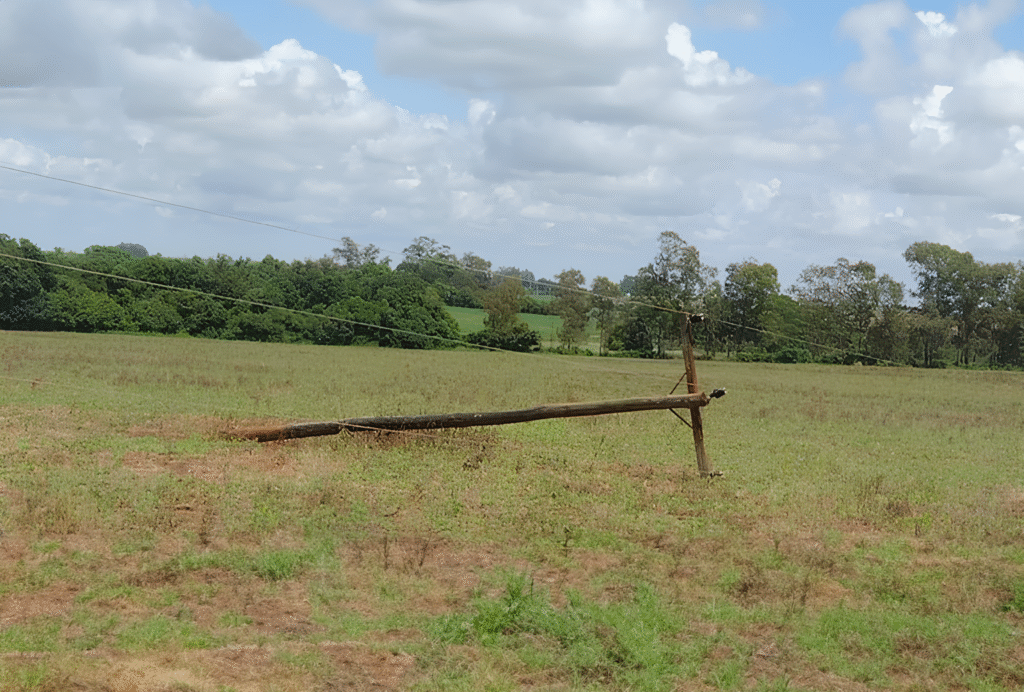 Deputado integra CPI da Energia Elétrica
