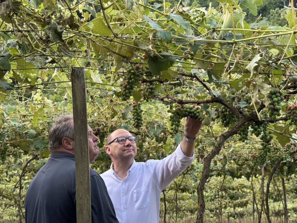 Weber participa da Tecnovitis 2025 e debate sobre impactos do contrabando no segmento