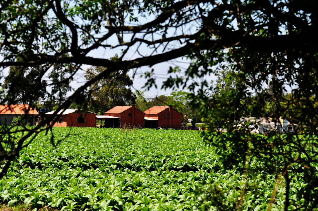 Weber cobra ajustes em sistema de monitoramento e alerta para exclusão de agricultores do crédito rural 