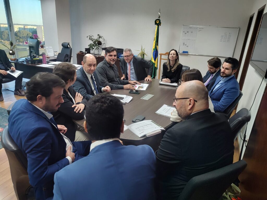 Comitiva leva à Camex pleitos em defesa da produção nacional de alho 
